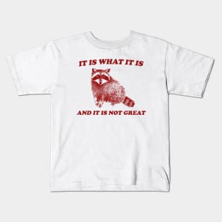 It Is What It Is And It Is Not Great, Funny Sweatshirt, Raccoon Sweatshirt, Cartoon Meme Top, Vintage Cartoon Kids T-Shirt